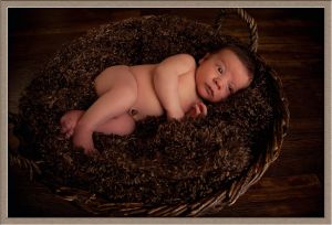Newborn in a Basket Studio Portrait